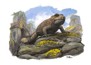 Threordatoth chasmatos is the latest in a long line of species to be discovered at Cromhall Quarry