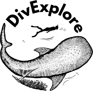 DivExplore Logo